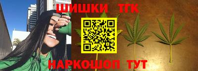 индика Дубна