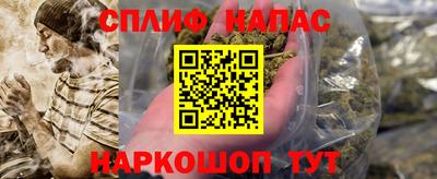 индика Дубна