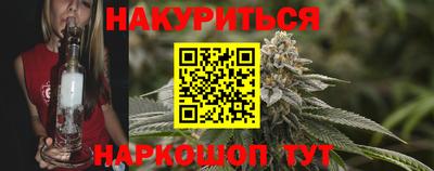 индика Дубна