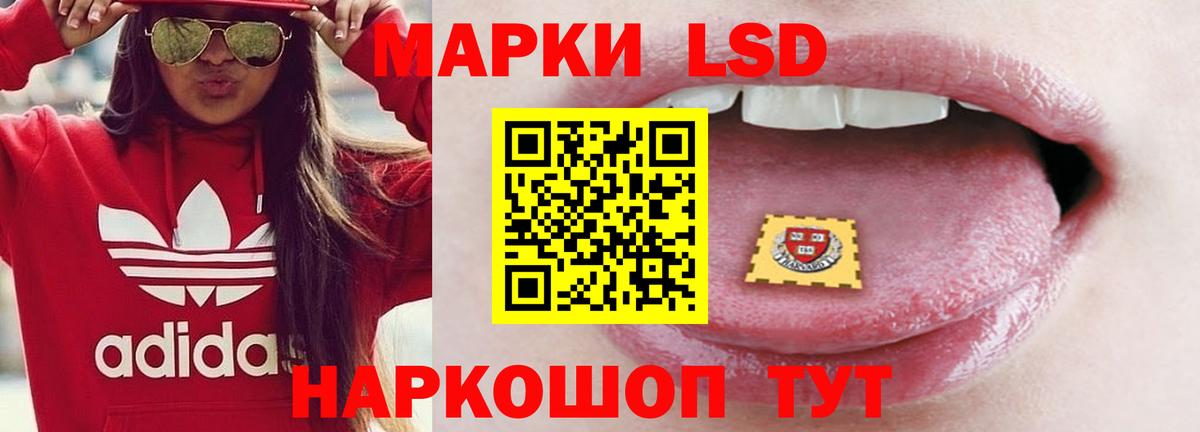 ЛСД экстази  ЛСД экстази кислота  ссылка на мегу сайт  Нижнеудинск  Вход с VPN 