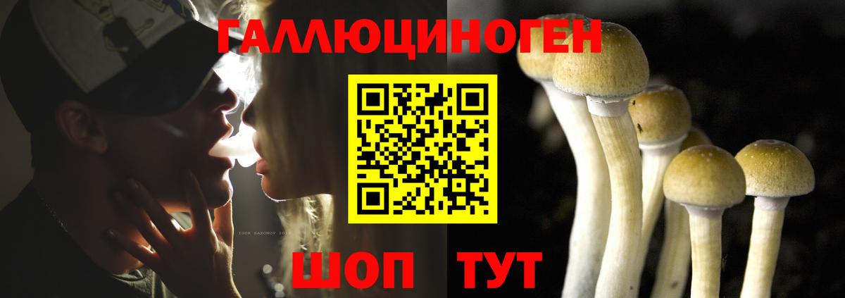 Псилоцибиновые грибы Cubensis  Вход с VPN  Нижнеудинск 